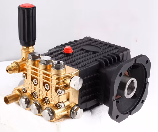 Neues Modell, maßgeschneidertes Autowaschpumpen-Set, Reinigungswasserpumpe, Hochdruck-Auto-Sprühpumpe